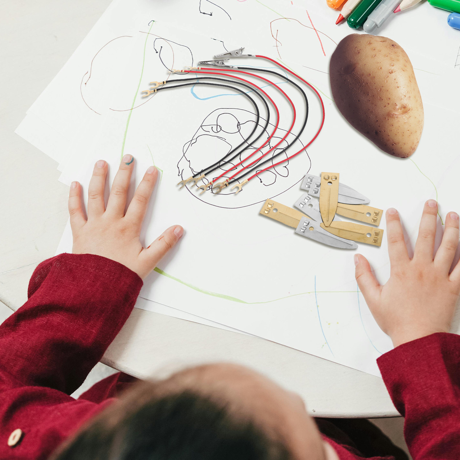 Zestaw naukowy „Owoce jako bat – Renewable Energy For Kids recenzja i cena
